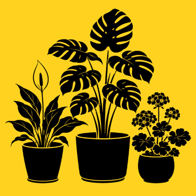 Plants & Flowers